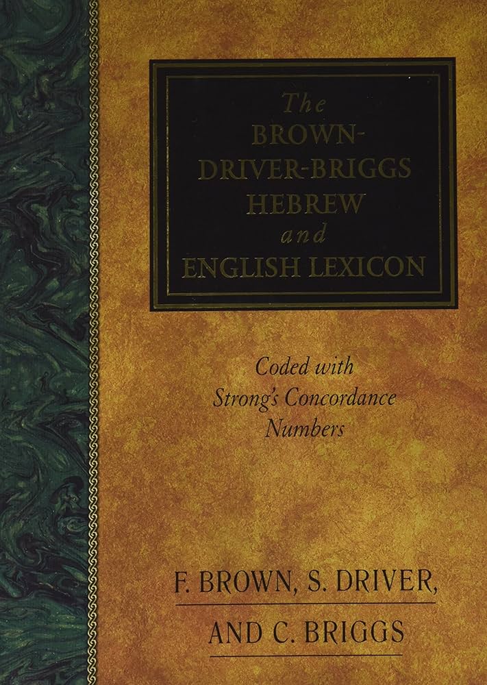 語学・辞書・学習参考書 Brown-D-Briggs Hebrew-English Lexic The Brown-Driver-Briggs Hebrew and English Lexicon - Coded